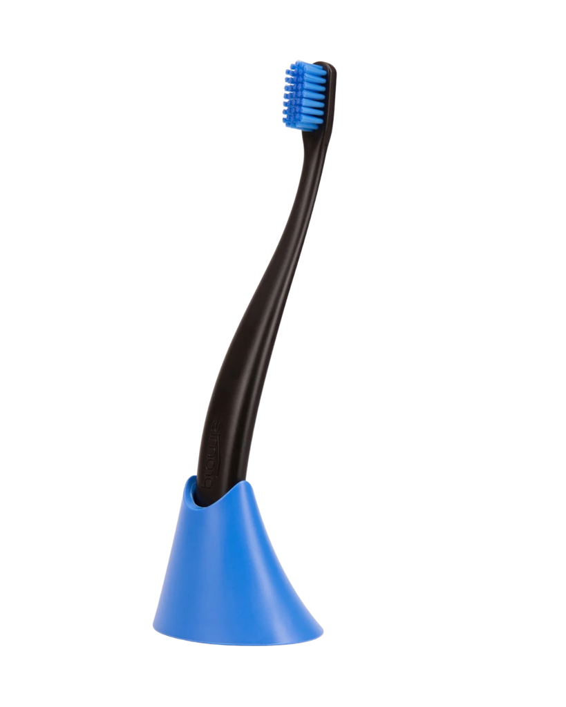Promis Blue Brush & Holder