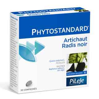 Artichaut Radis Noir * 10fl